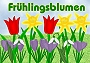 Frühlingsblumen (Bild-ID: 3837)