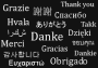 Danke in mehreren Sprachen (Bild-ID: 6335)
