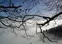 über Nebelmeer (Bild-ID: 4821)