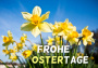 Frohe Ostertage (Bild-ID: 6641)