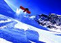 Snowboard (Bild-ID: 4837)