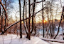 Winterlandschaft (Bild-ID: 6827)